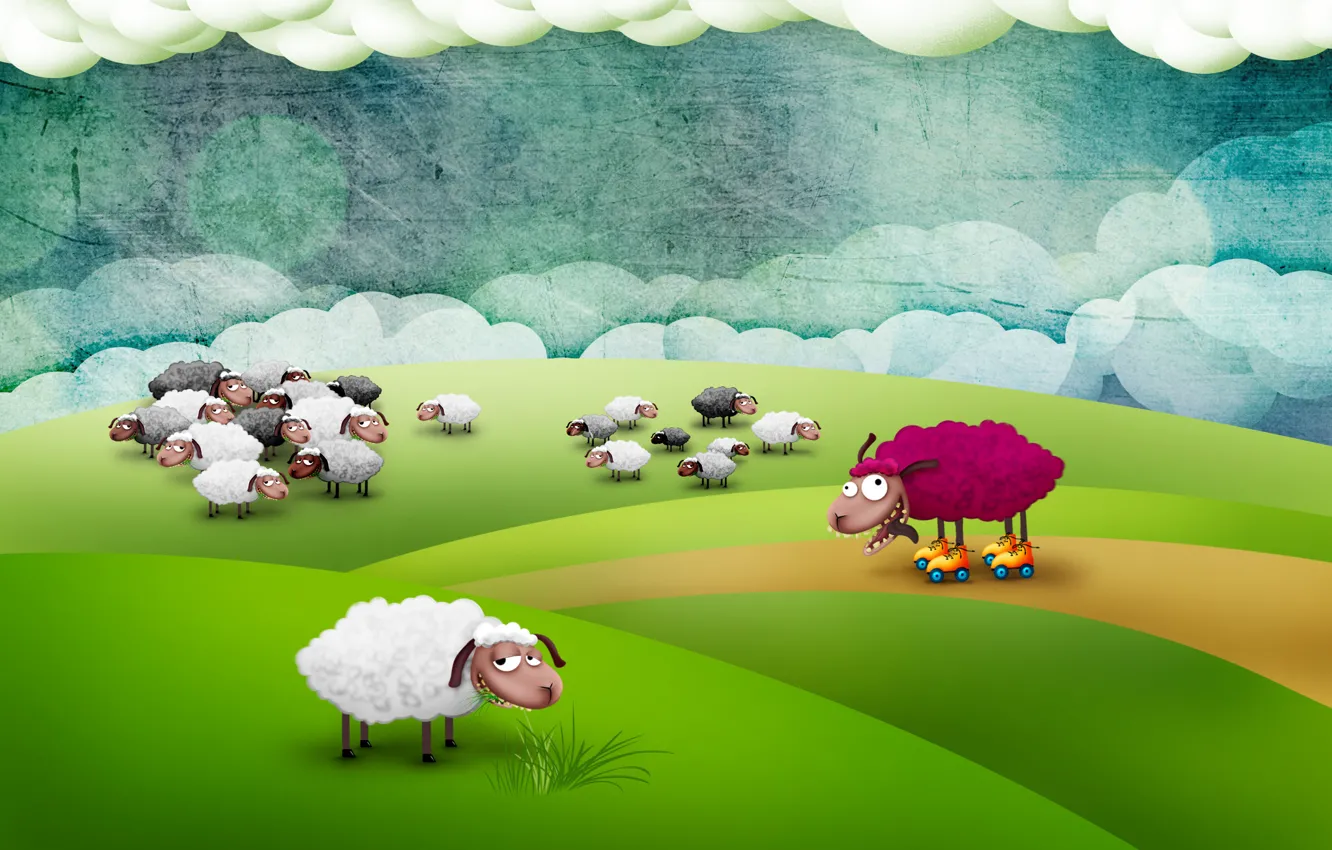 Photo wallpaper field, sheep, mad sheep