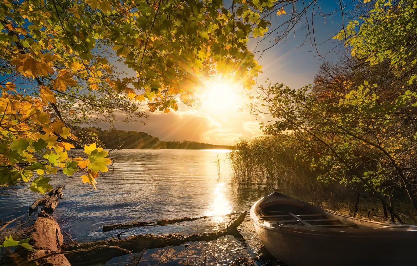 Photo wallpaper autumn, light, lake, boat, morning