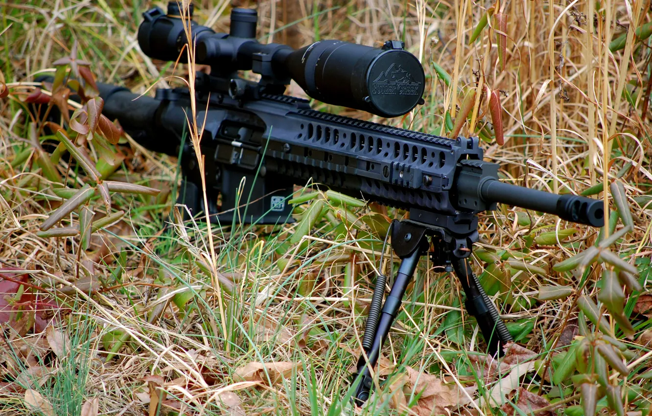 Photo wallpaper grass, weapons, rifle, automatic, fry, ‎AR-10