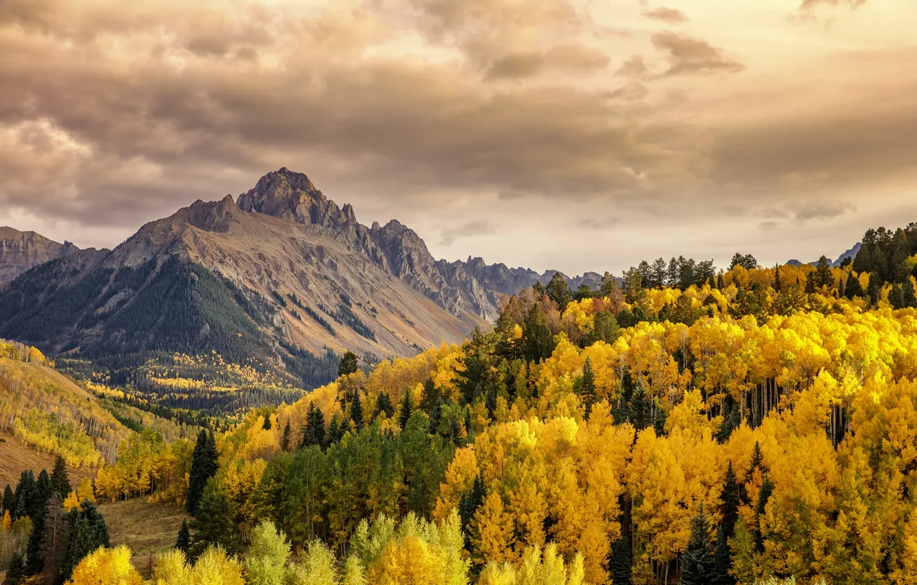 Photo wallpaper clouds, trees, mountains, hills, valley