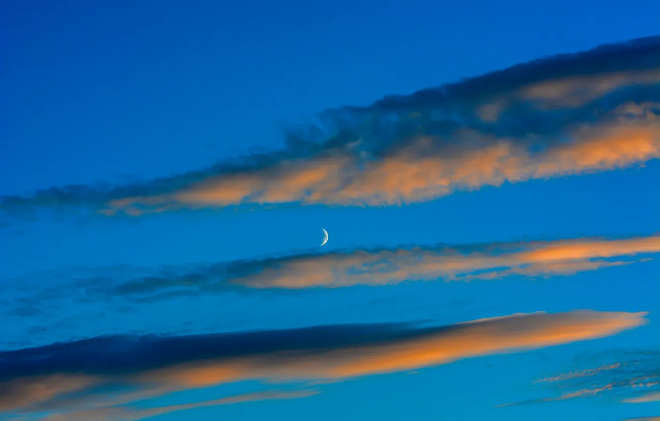 Photo wallpaper the sky, nature, the moon