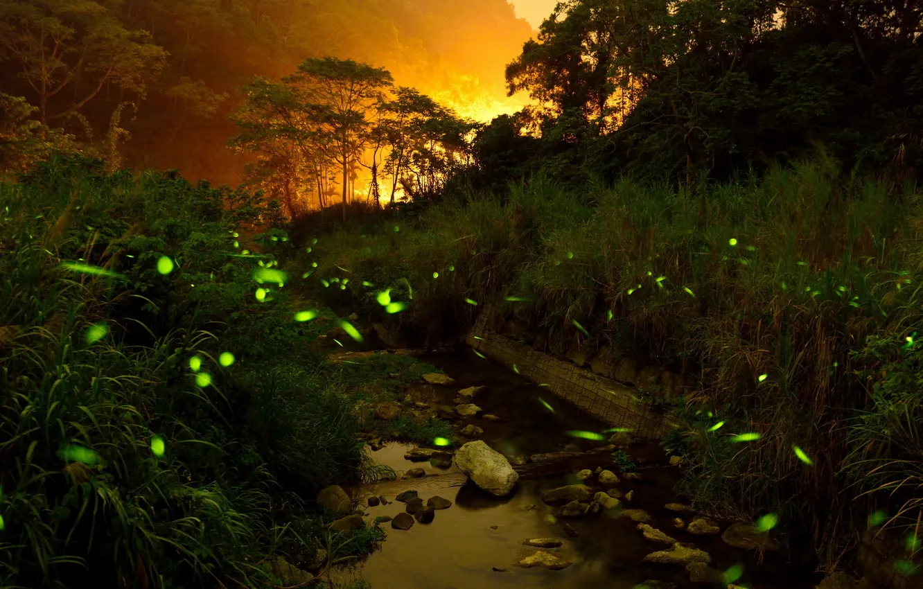 Photo wallpaper landscape, night, nature, river