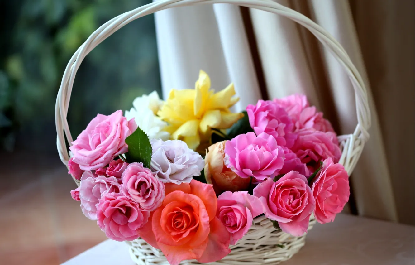 Photo wallpaper white, flowers, orange, pink, roses, basket