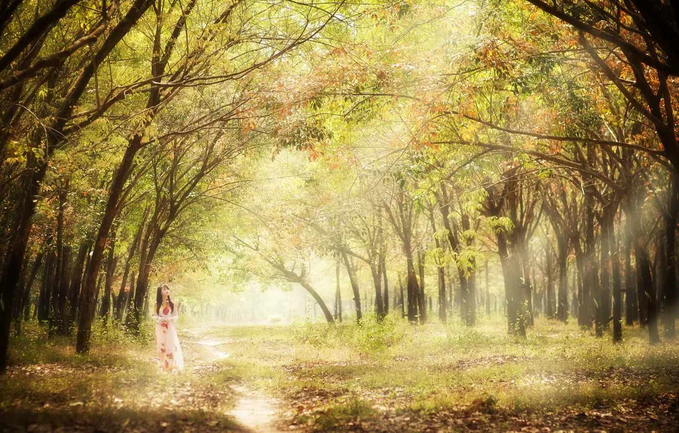 Photo wallpaper forest, girl, light