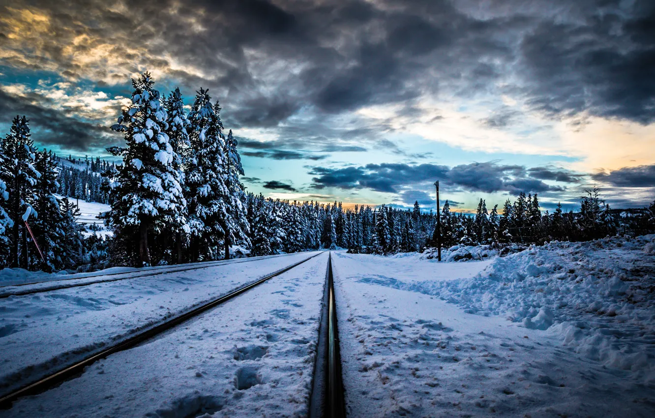 Photo wallpaper winter, forest, snow, trees, sunset, clouds, rails, railroad