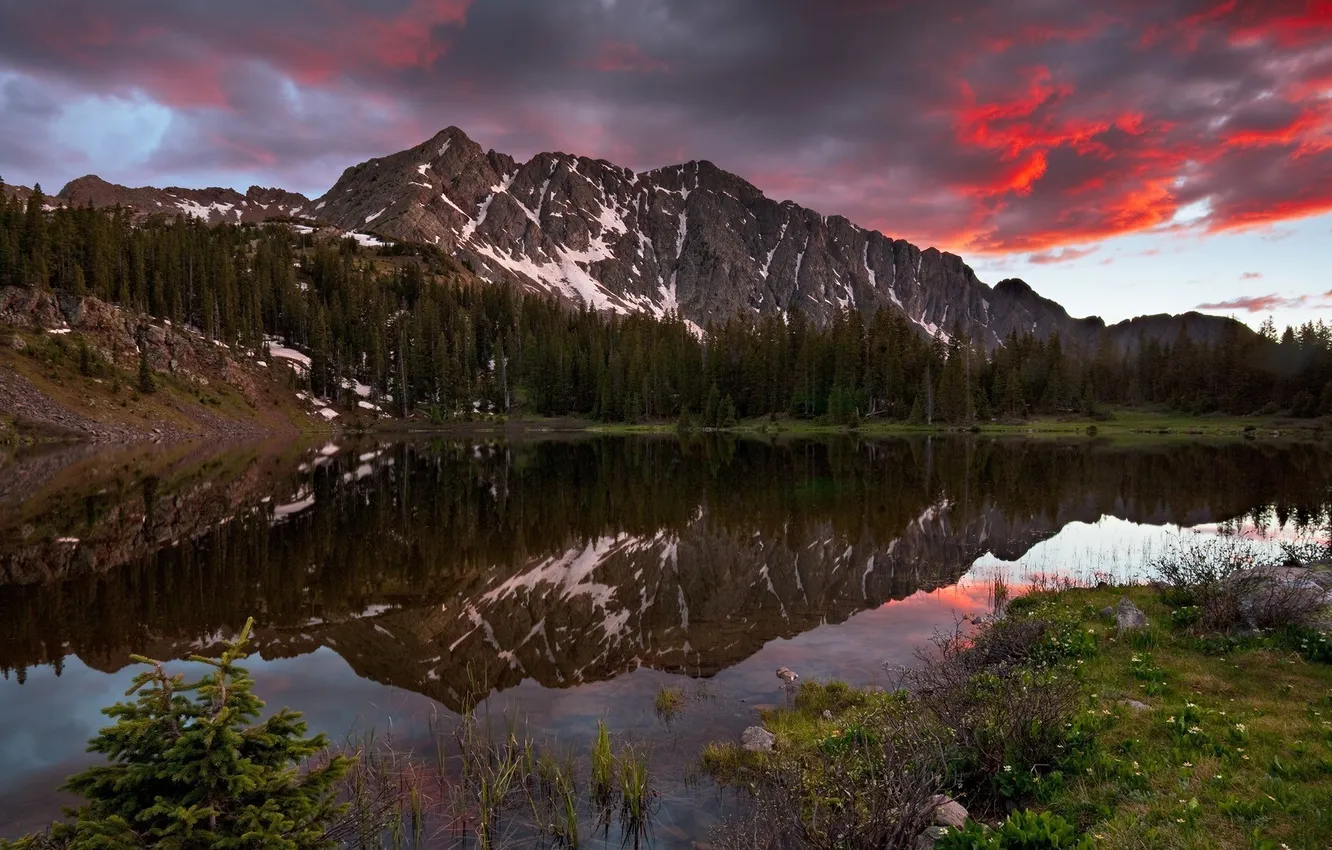 Photo wallpaper forest, landscape, mountains, nature, lake, reflection, shore