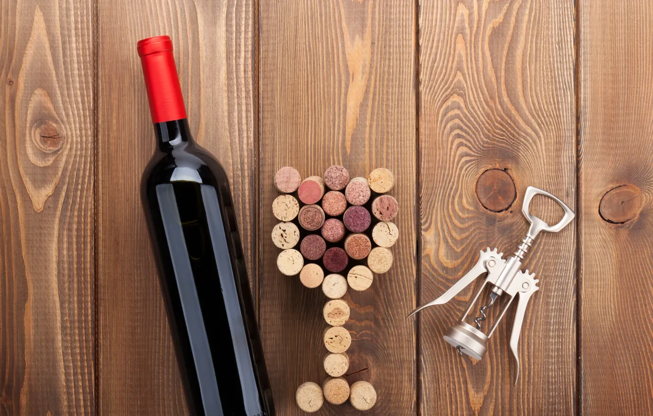 Photo wallpaper trees, creative, background, wine, Board, glass, bottle, tube