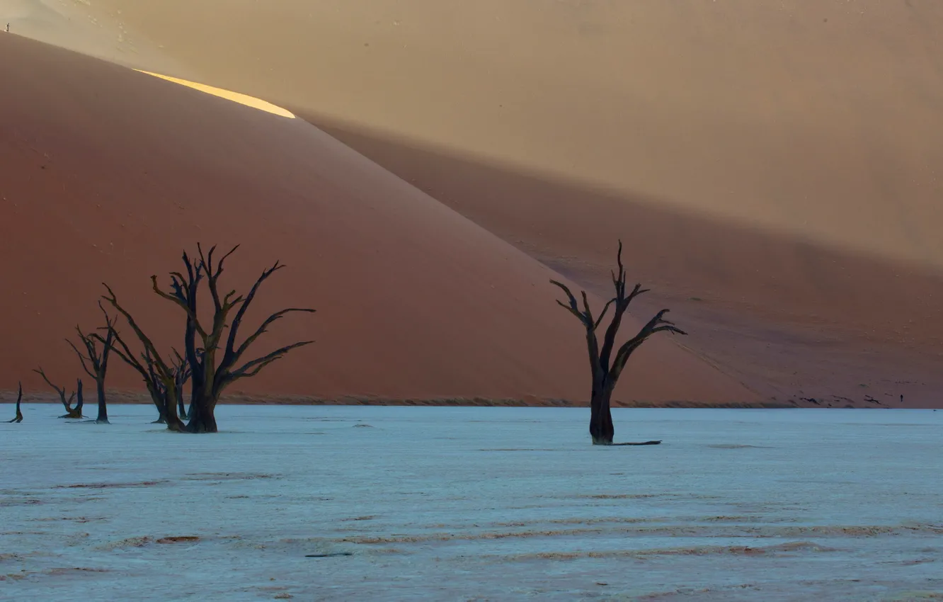 Photo wallpaper desert, africa, dunes, Deadvlei, namibia