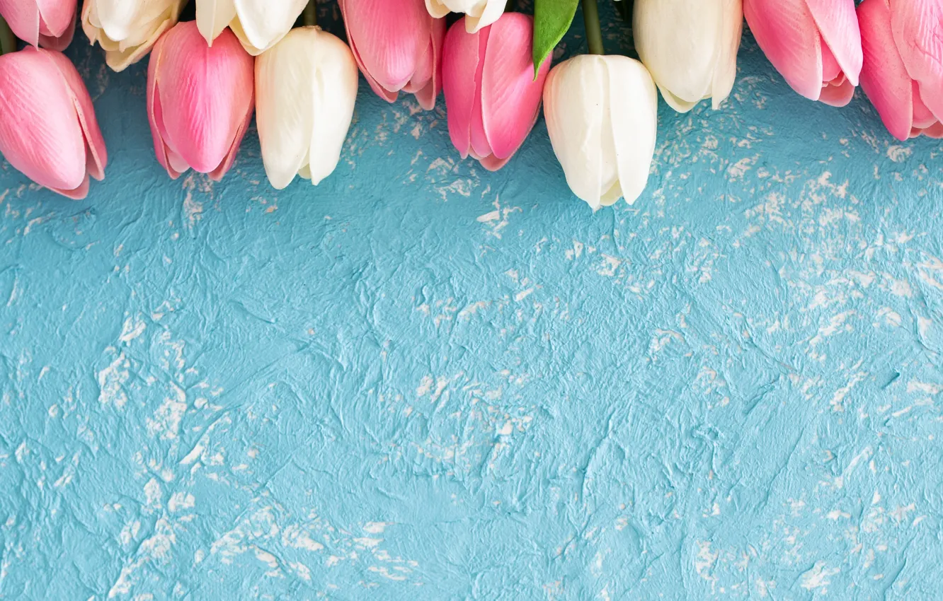 Photo wallpaper flowers, background, blue, texture, tulips, LAIMDOTA GRIVANE