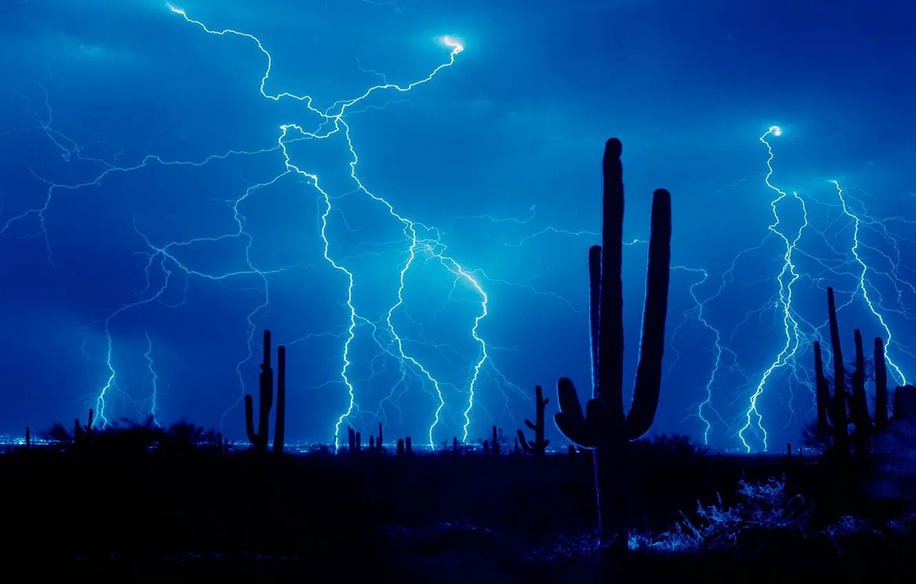 Photo wallpaper the storm, lightning, desert, cactus