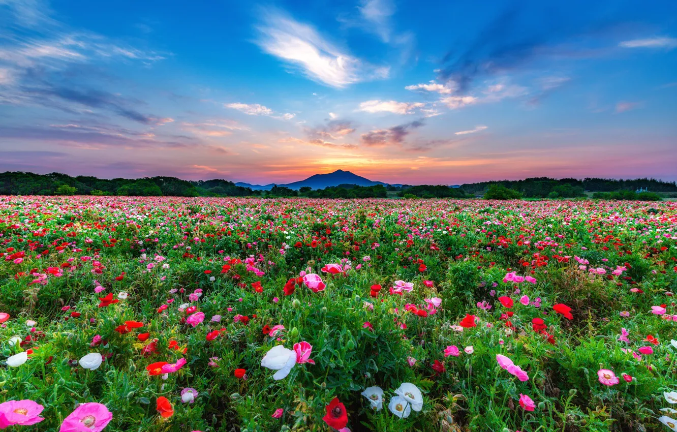 Photo wallpaper the sky, mountains, Maki, horizon