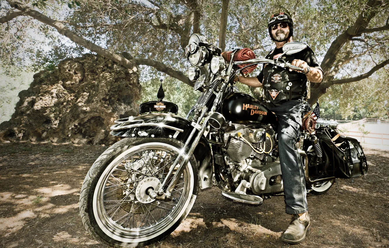 Photo wallpaper style, motorcycle, biker, Harley-Davidson