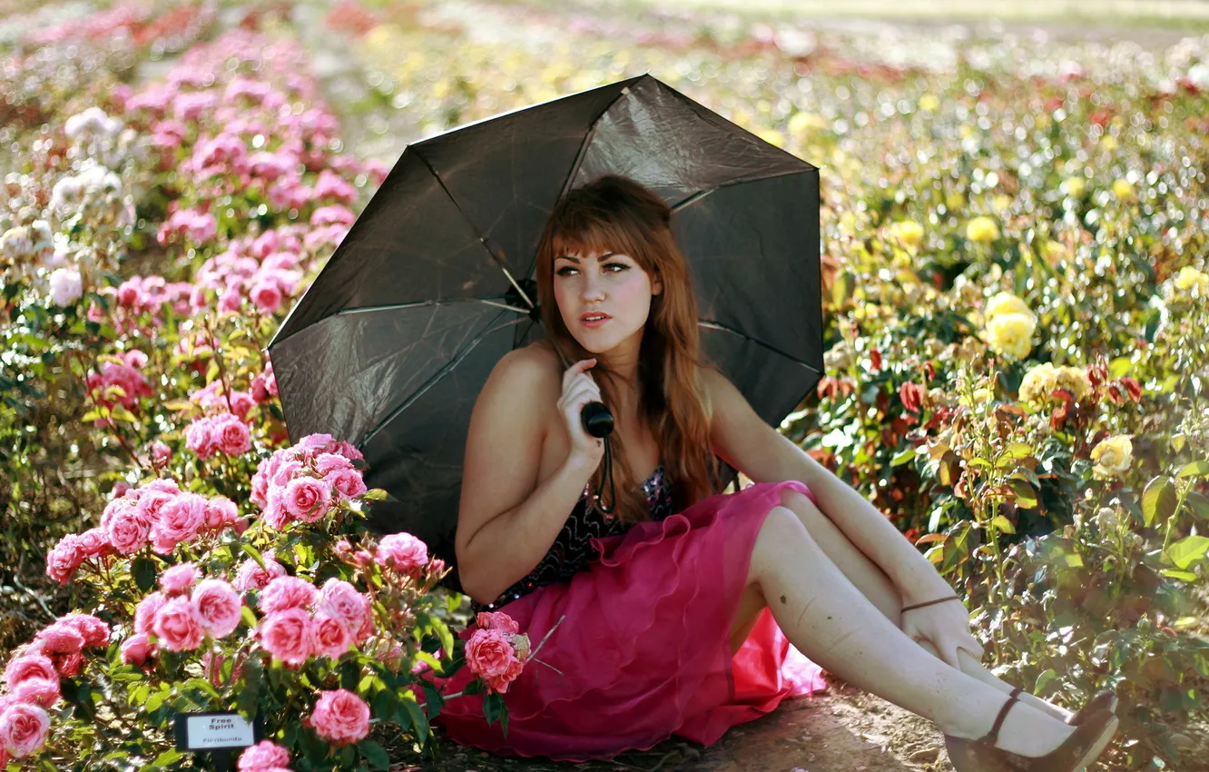 Photo wallpaper girl, flowers, umbrella