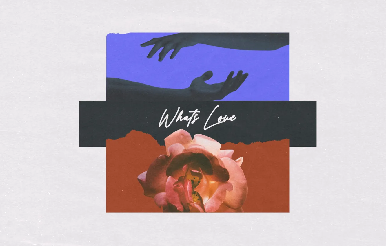 Photo wallpaper Music, Cover, Monstercat, Conro, What's Love