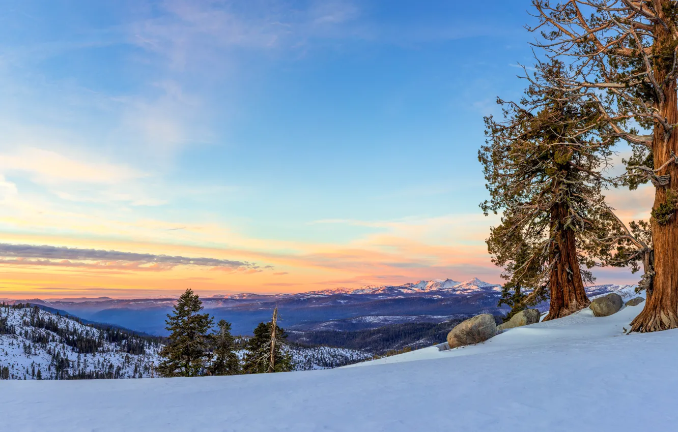 Photo wallpaper winter, forest, the sky, clouds, snow, trees, mountains, stones
