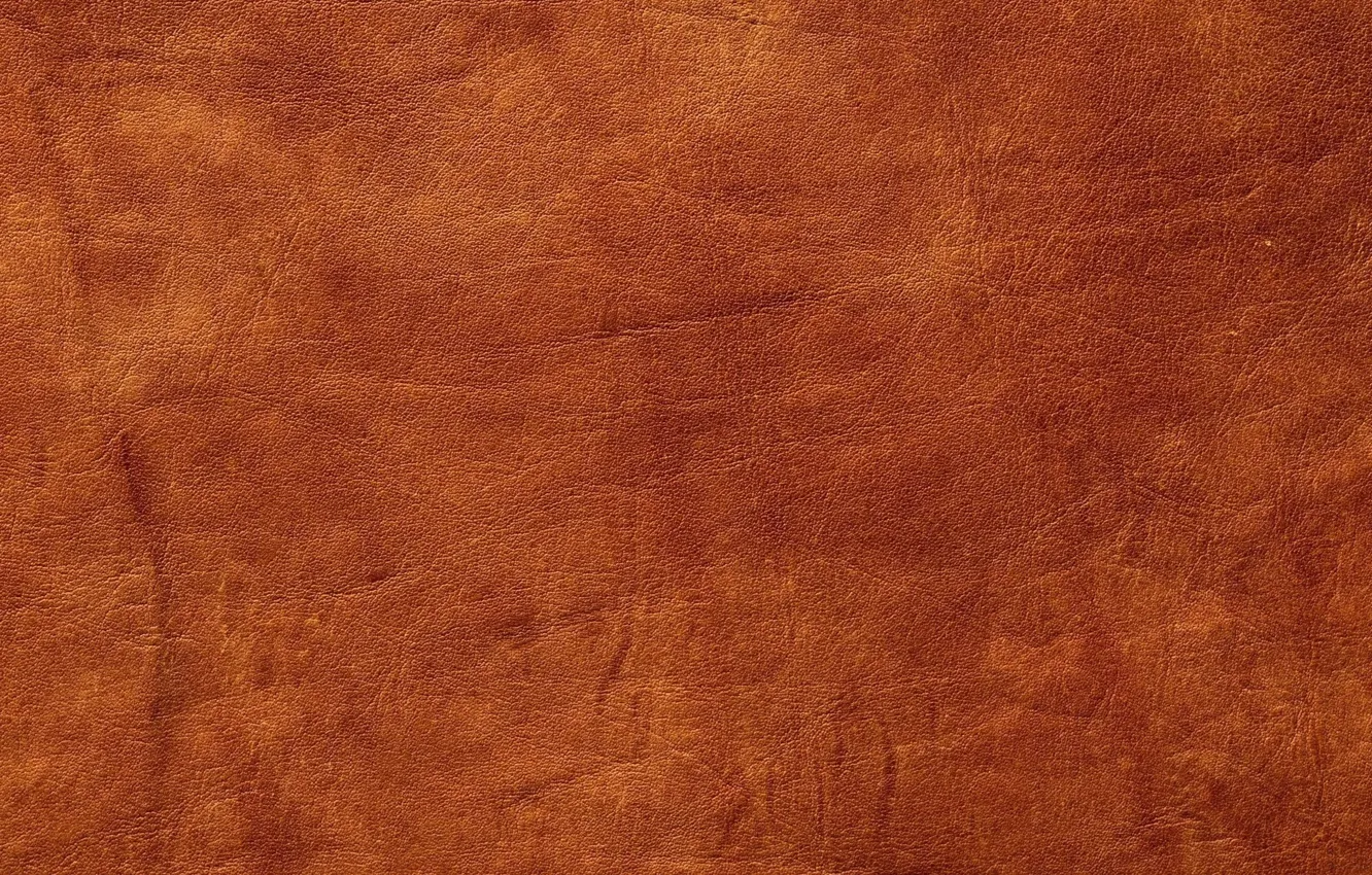 Photo wallpaper leather, brown, mint, brown background