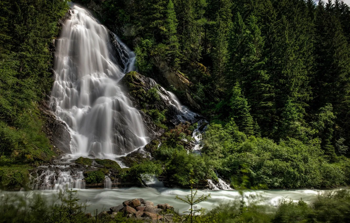 Photo wallpaper forest, river, waterfall