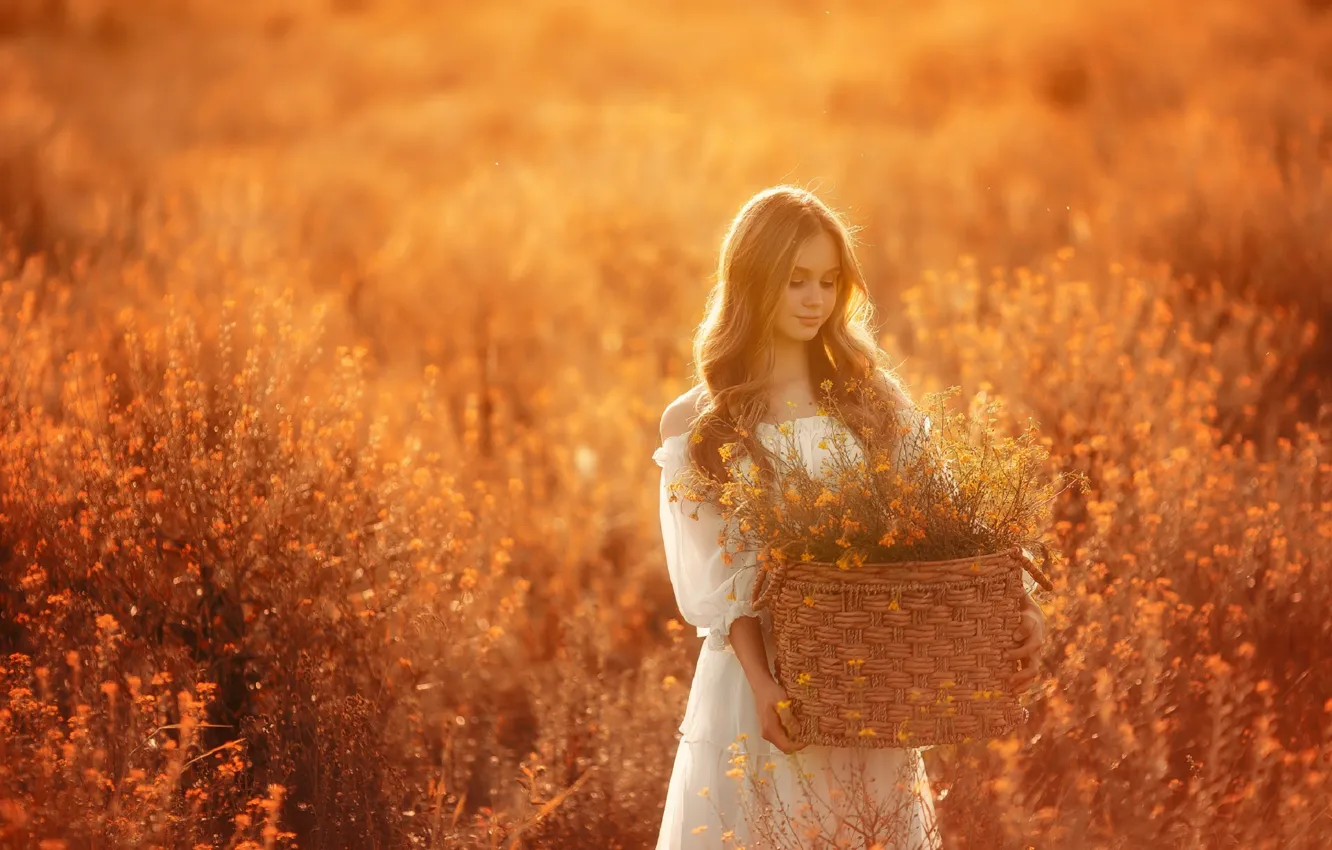 Photo wallpaper field, girl, the sun, flowers, basket, hair, Nick Kolesnikov