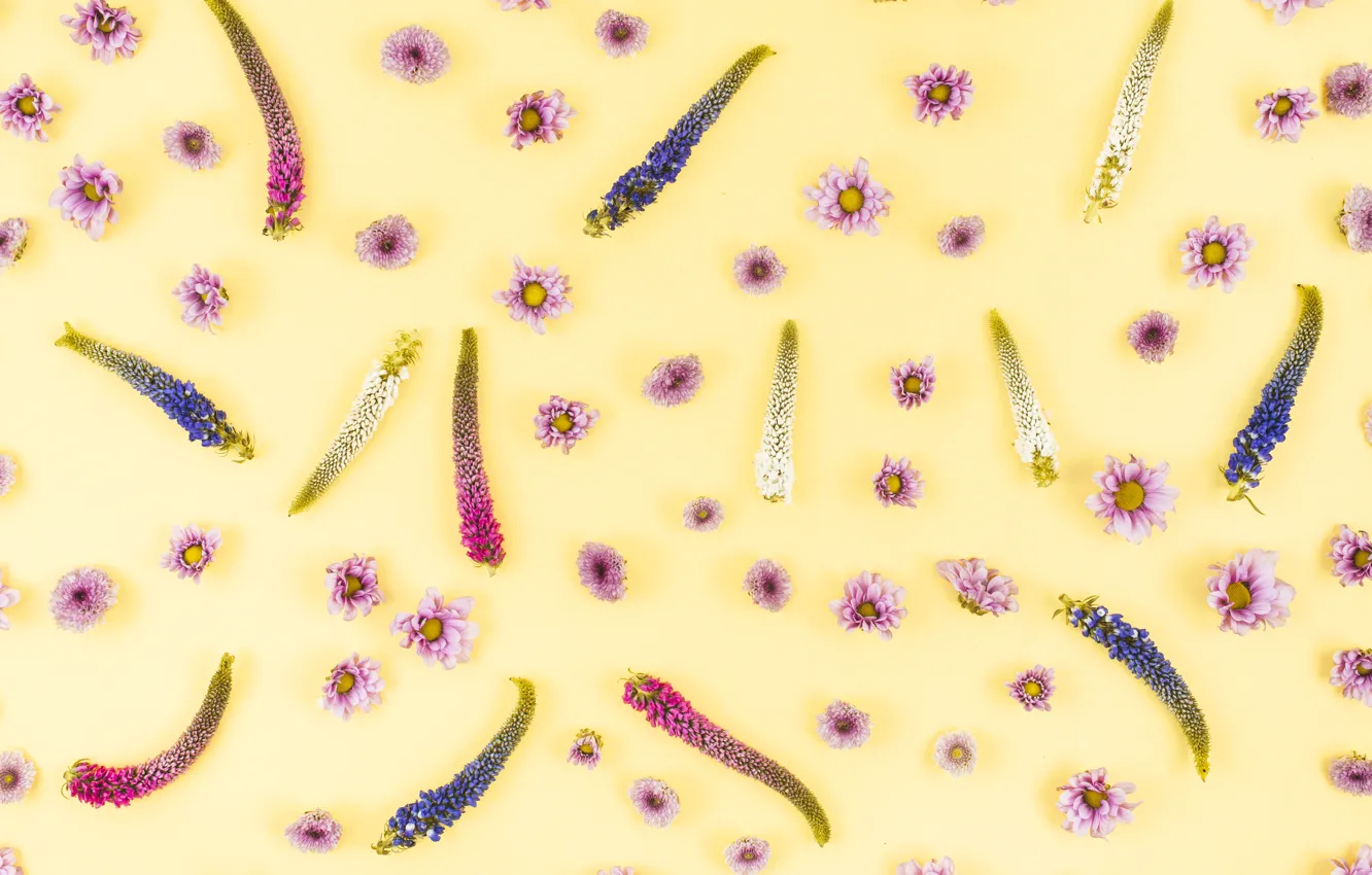 Photo wallpaper flowers, yellow, background, yellow, pink, flowers, background, pattern
