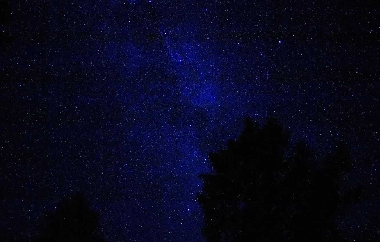 Photo wallpaper Night, Stars, Starry sky