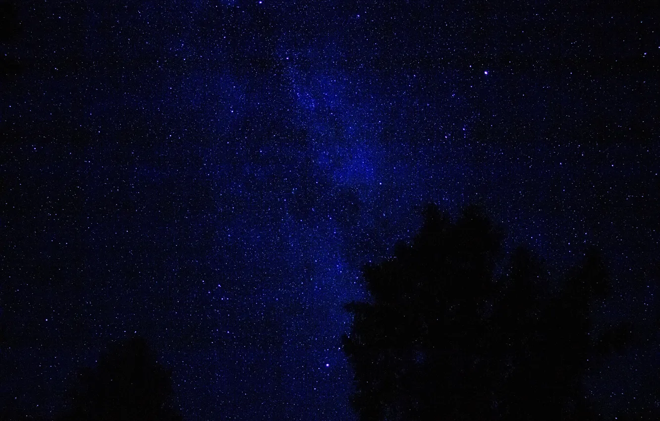 Photo wallpaper stars, night, starry sky