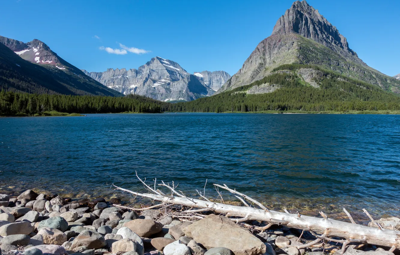 Photo wallpaper forest, the sky, trees, mountains, lake, stones