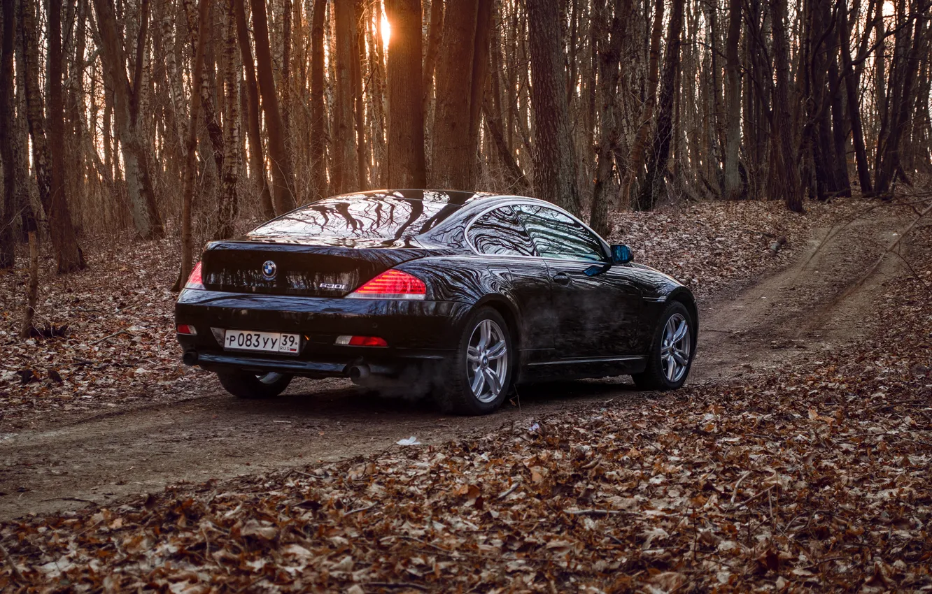 Photo wallpaper BMW, E63, BMW6