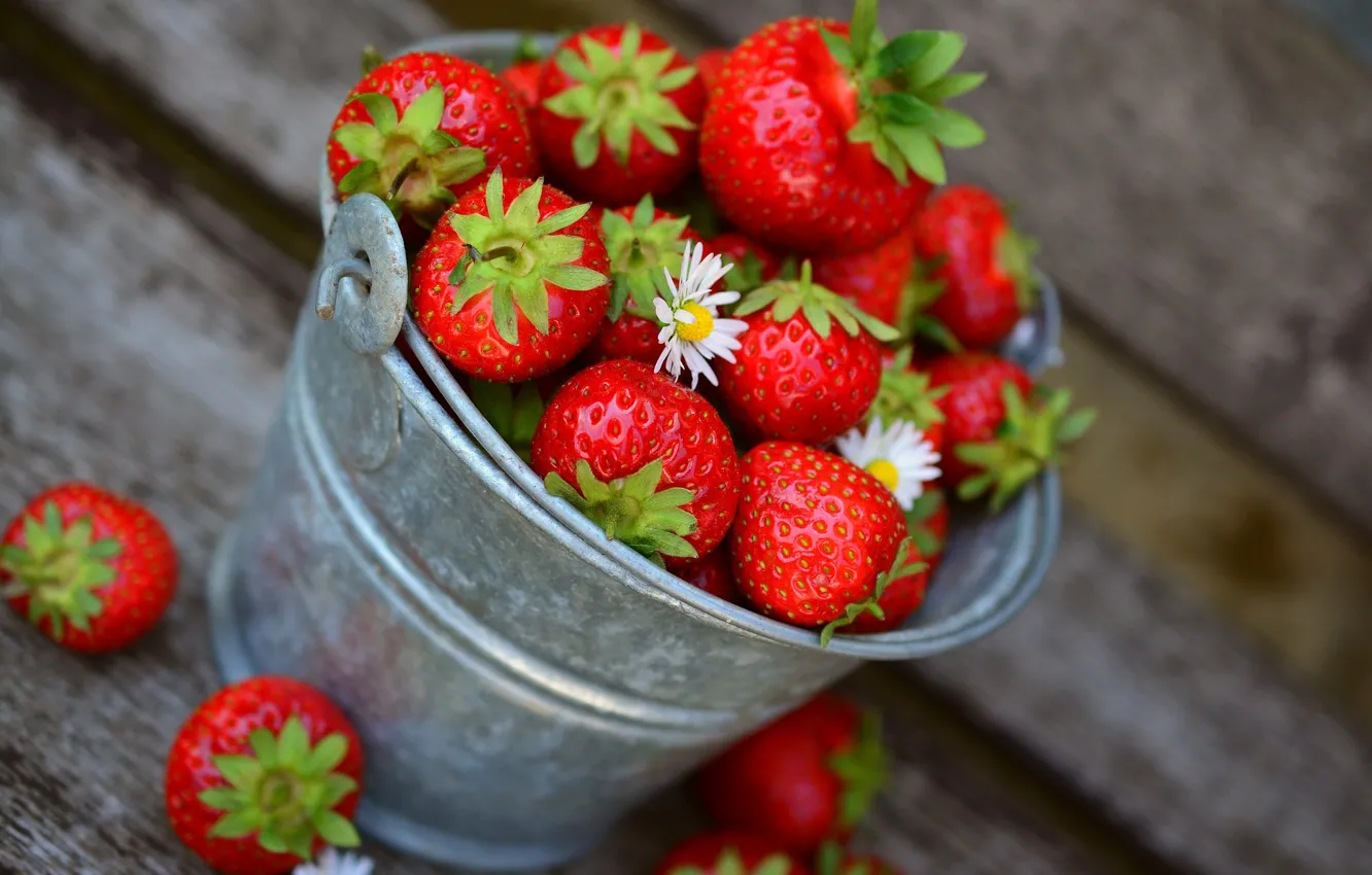 Photo wallpaper flowers, Strawberry, berry