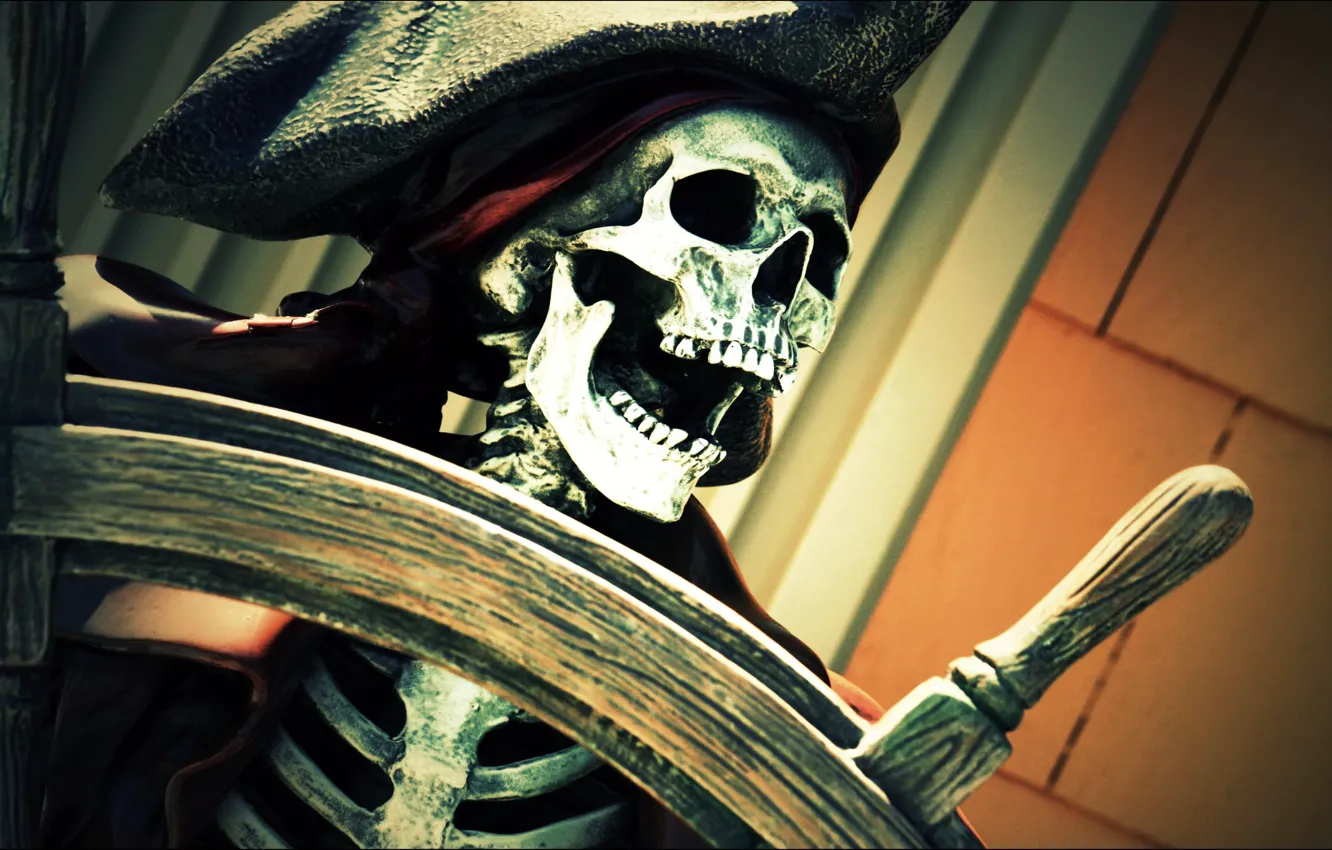 Photo wallpaper hat, pirate, skeleton, jaw, the wheel