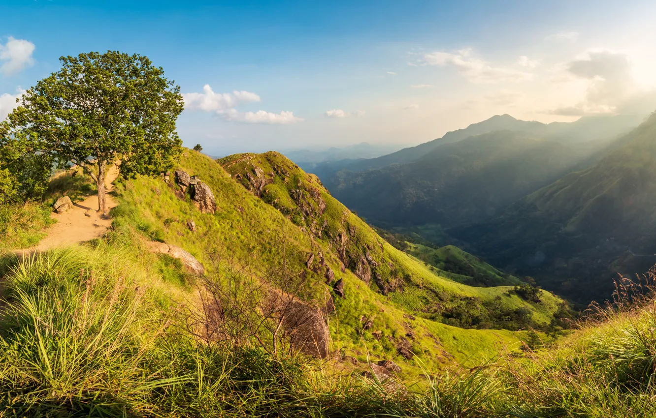 Photo wallpaper the sky, grass, the sun, clouds, trees, mountains, stones, island