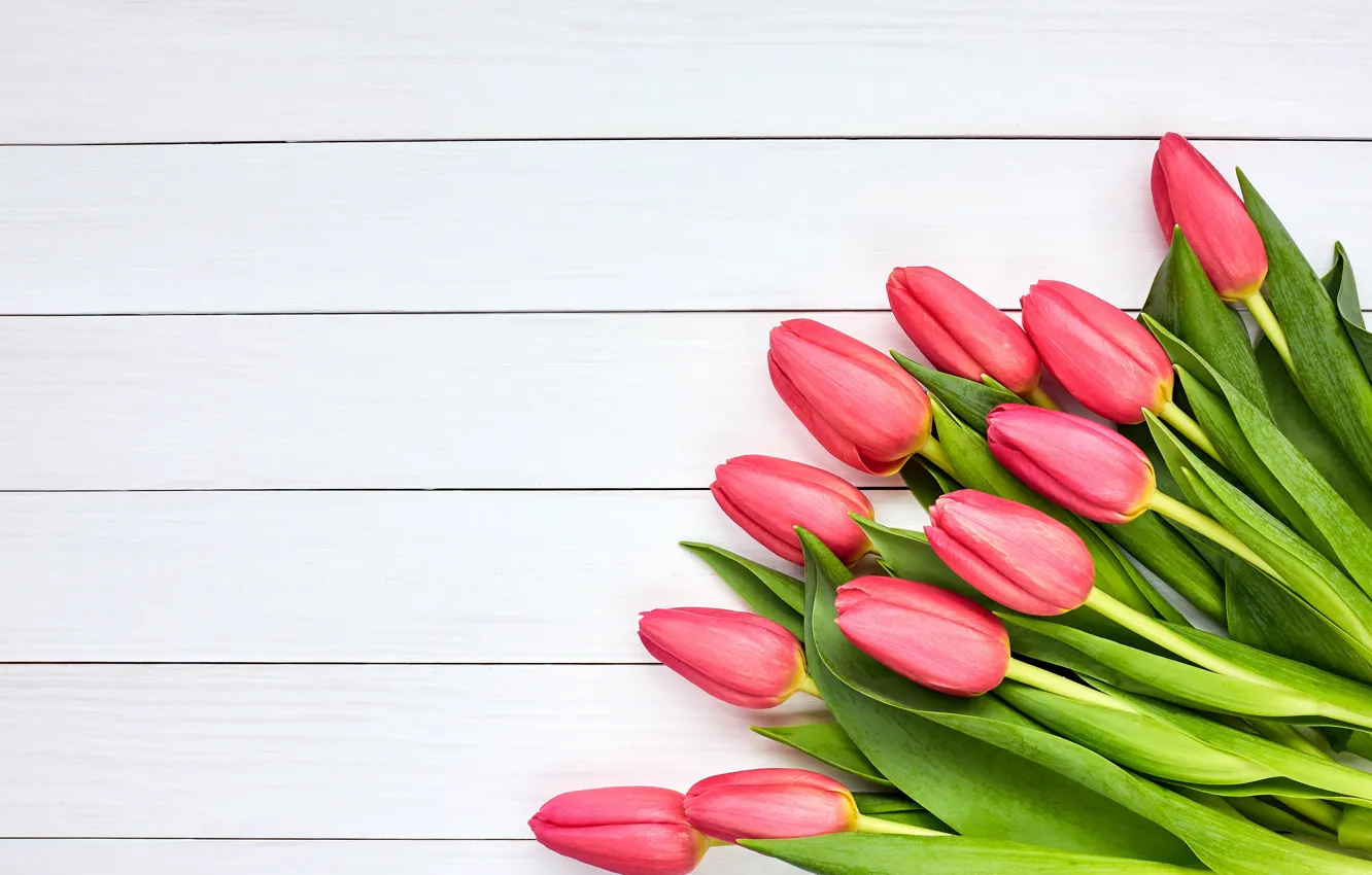 Photo wallpaper flowers, bouquet, tulips, pink, fresh, pink, flowers, beautiful