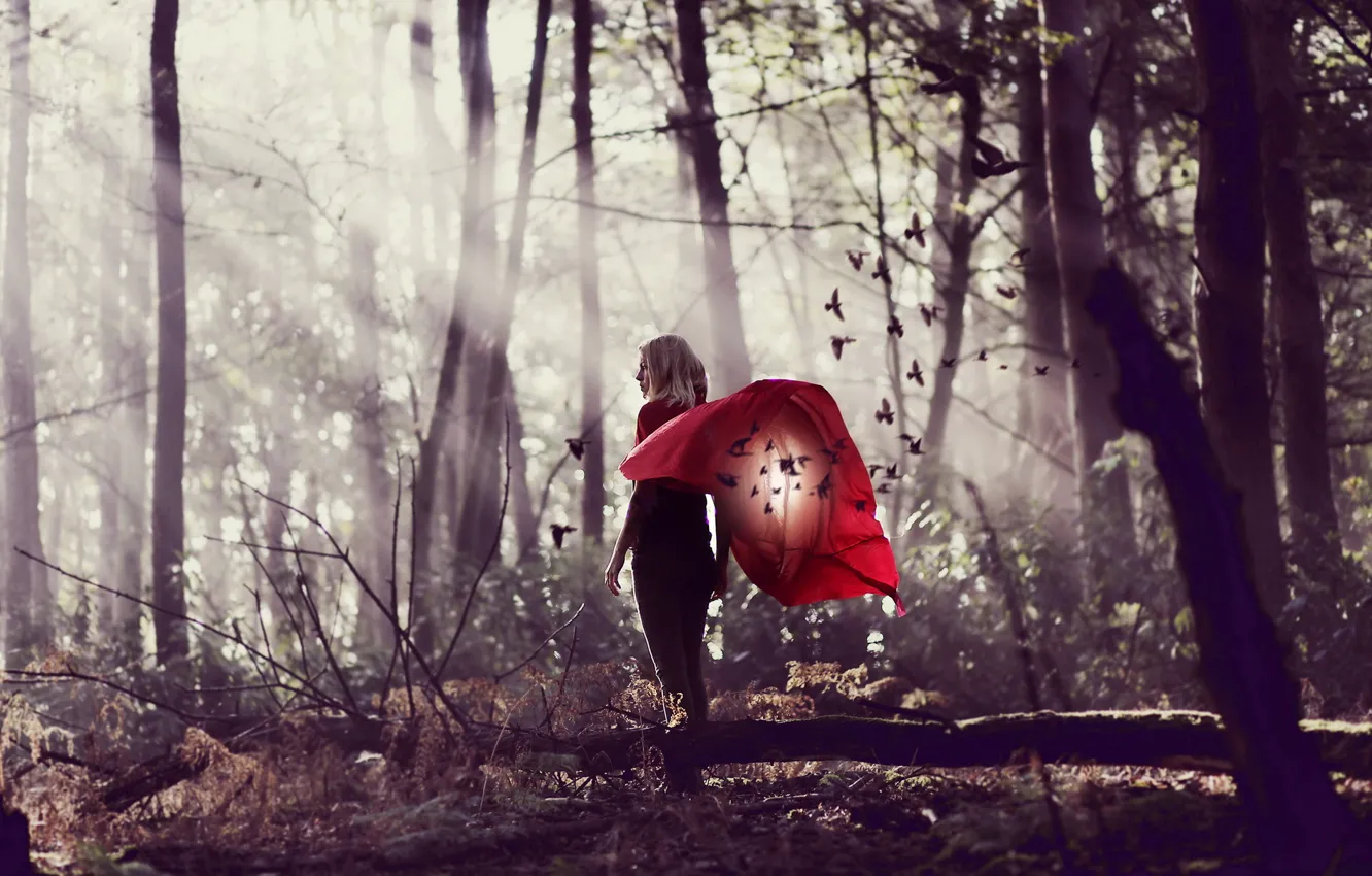 Photo wallpaper forest, girl, background
