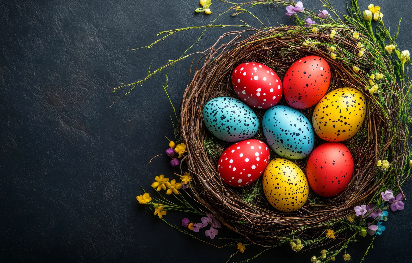 Photo wallpaper flowers, yellow, red, the dark background, sprig, holiday, blue, eggs