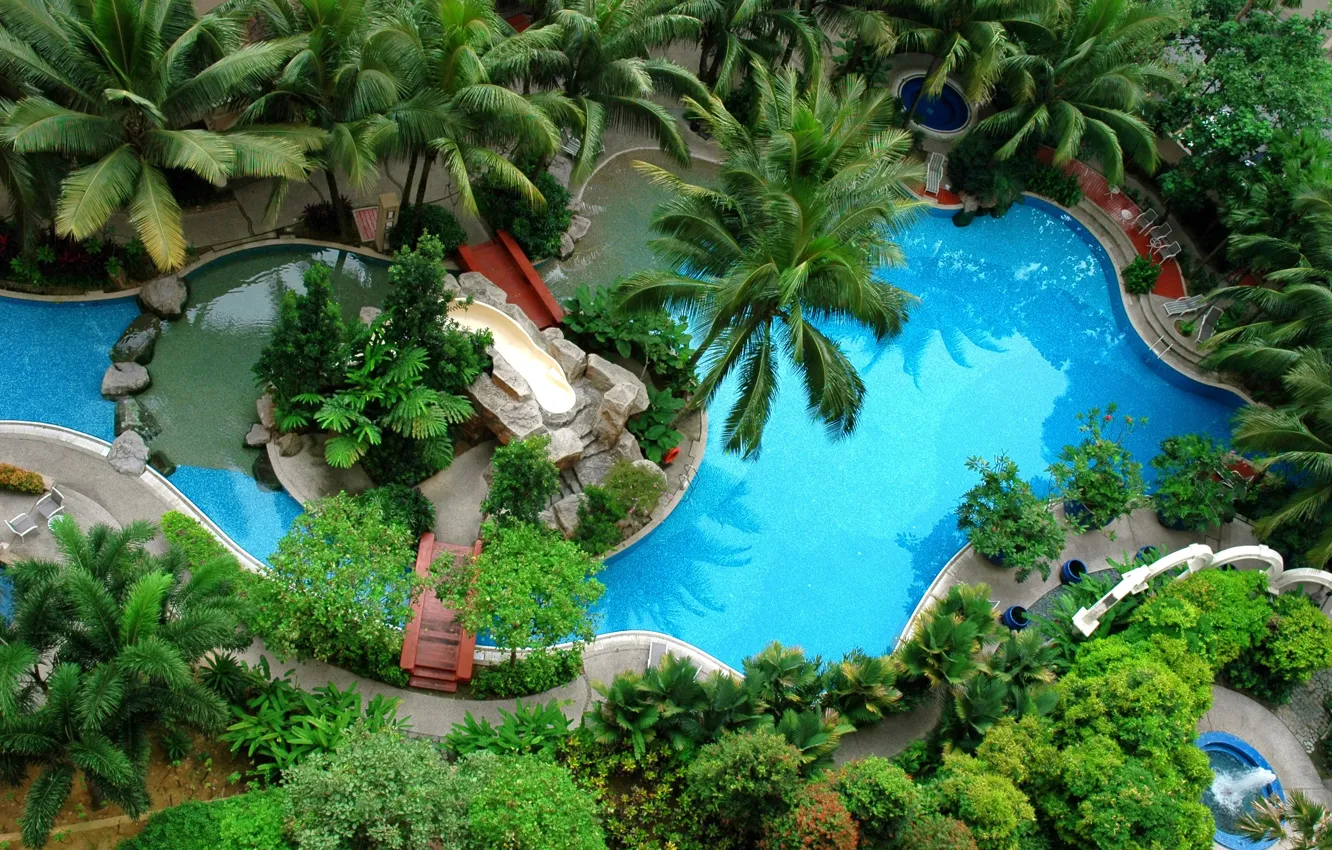 Photo wallpaper stones, palm trees, pool, slide, Jacuzzi, pool, chair., pools