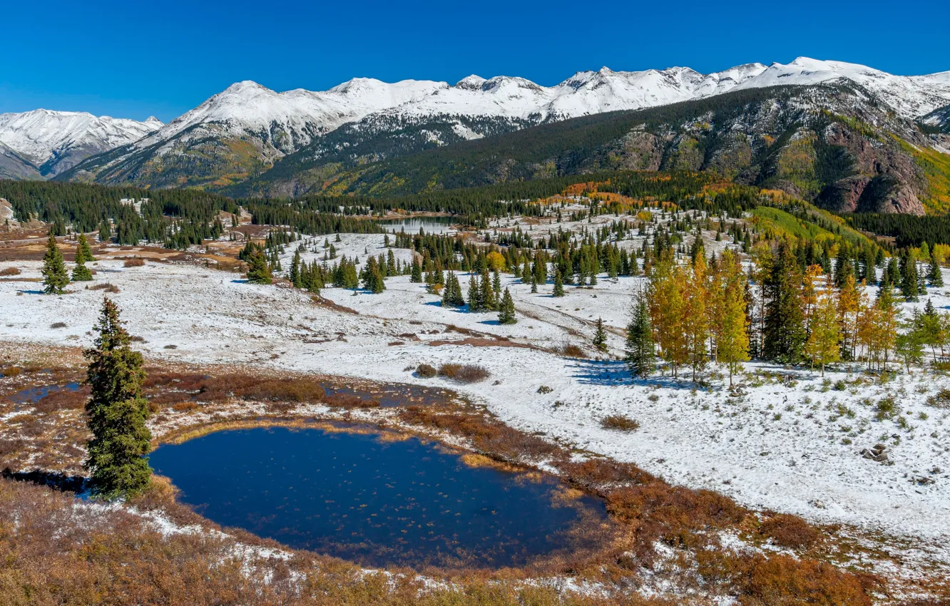 Photo wallpaper snow, trees, mountains