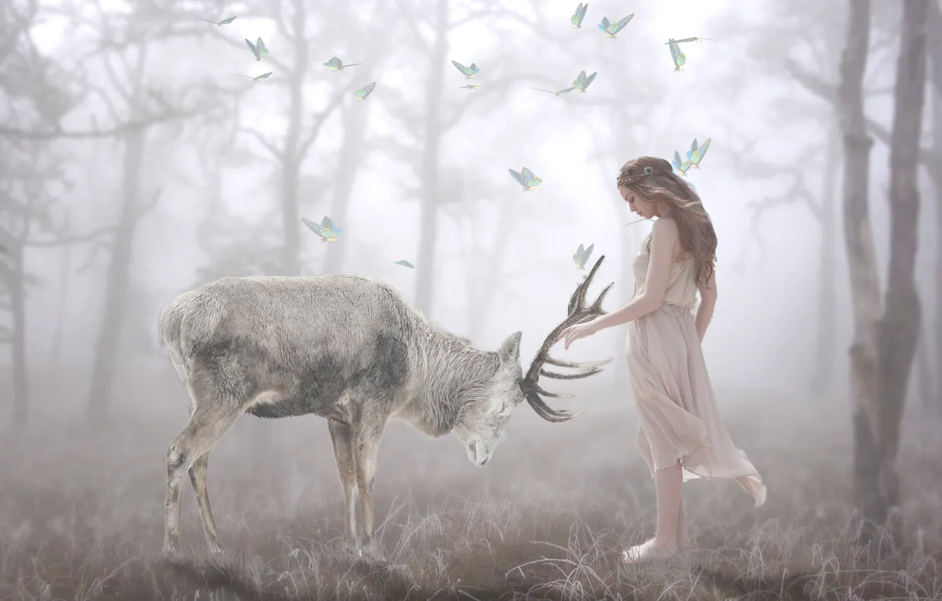 Photo wallpaper forest, girl, nature, pose, fog, butterfly, treatment, deer