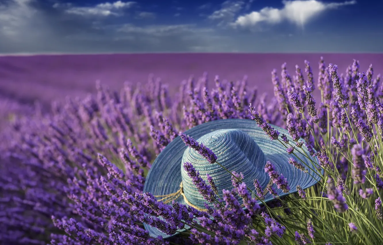 Photo wallpaper summer, hat, lavender