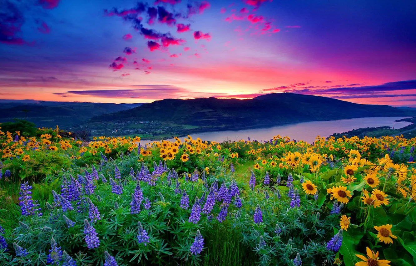 Photo wallpaper nature, flowers, mountain