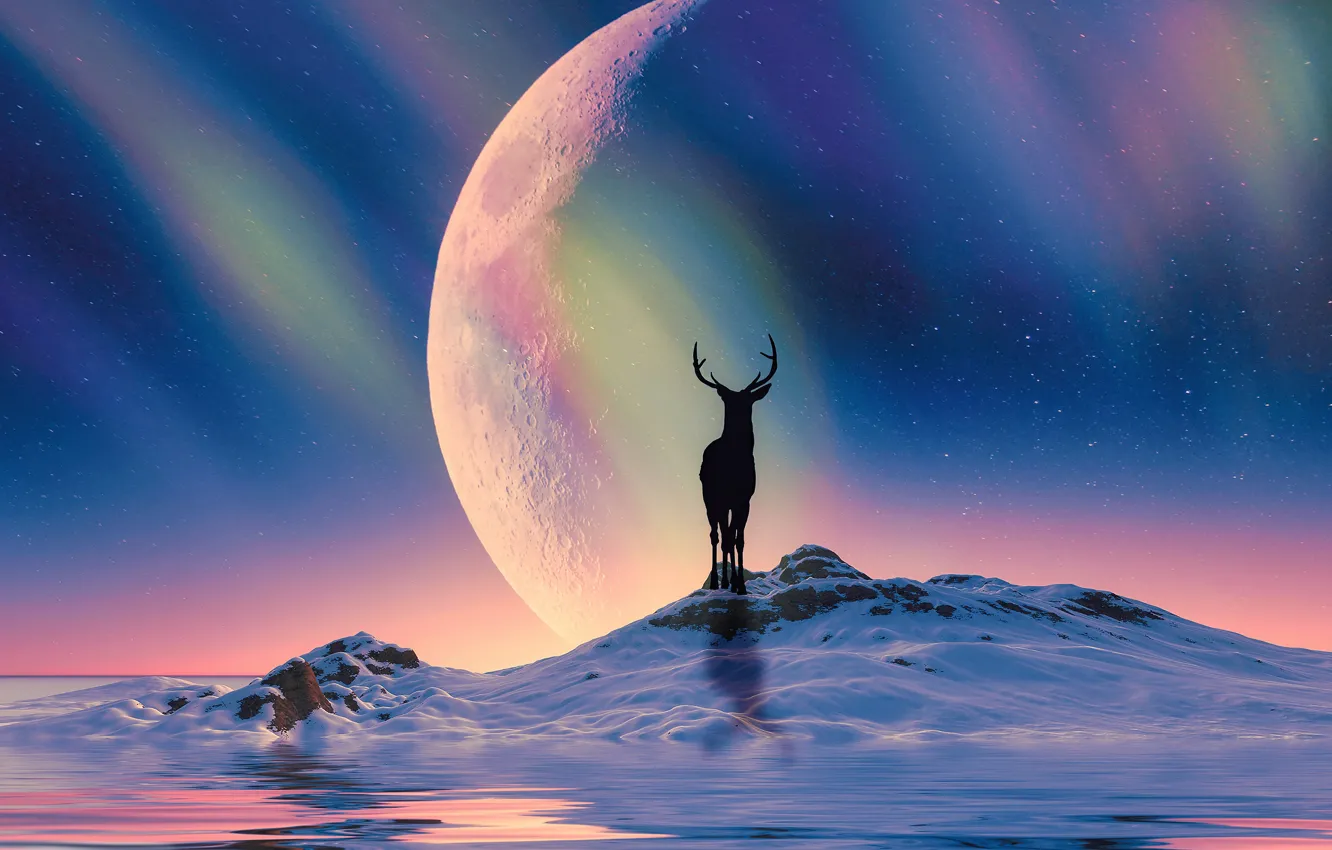 Photo wallpaper winter, snow, night, rendering, hills, planet, Northern lights, deer