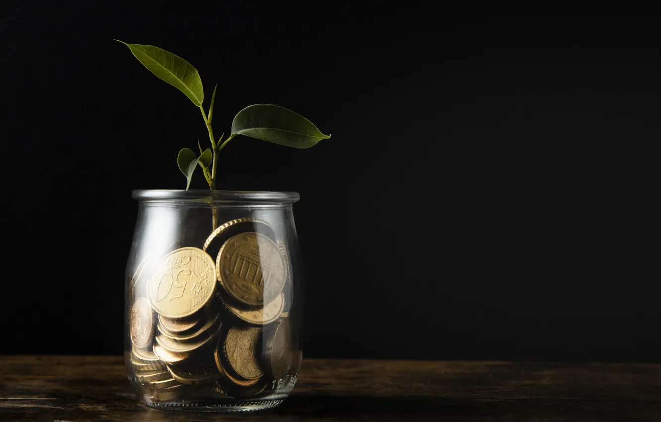 Photo wallpaper space, plant, coins, jar, copy, Growing