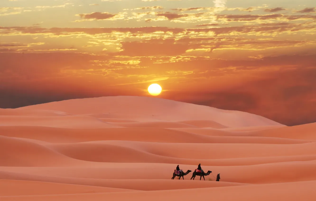 Photo wallpaper desert, desert, Sands, caravan, Sugar, Morocco, caravan in the Sahara, Berbers