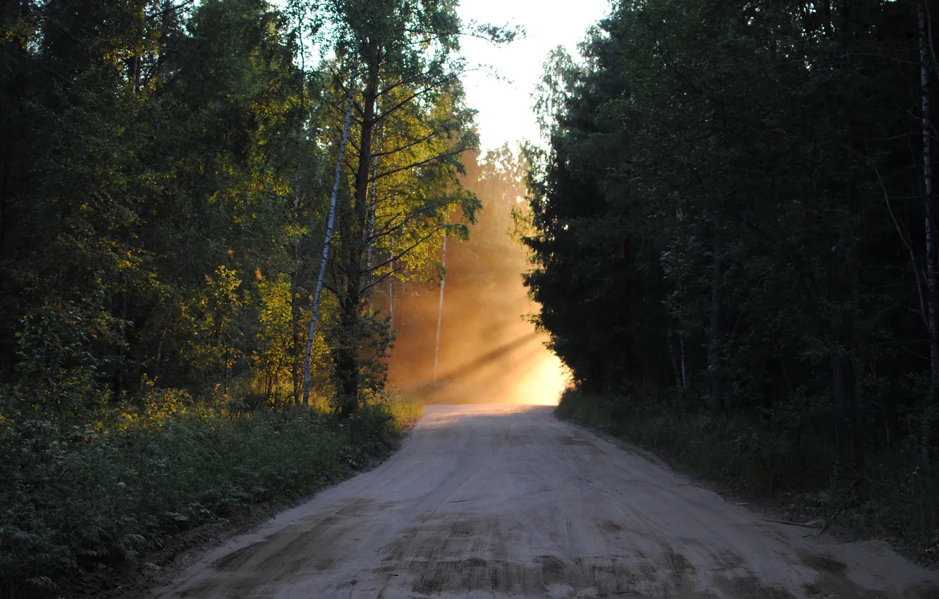 Photo wallpaper road, landscape, morning