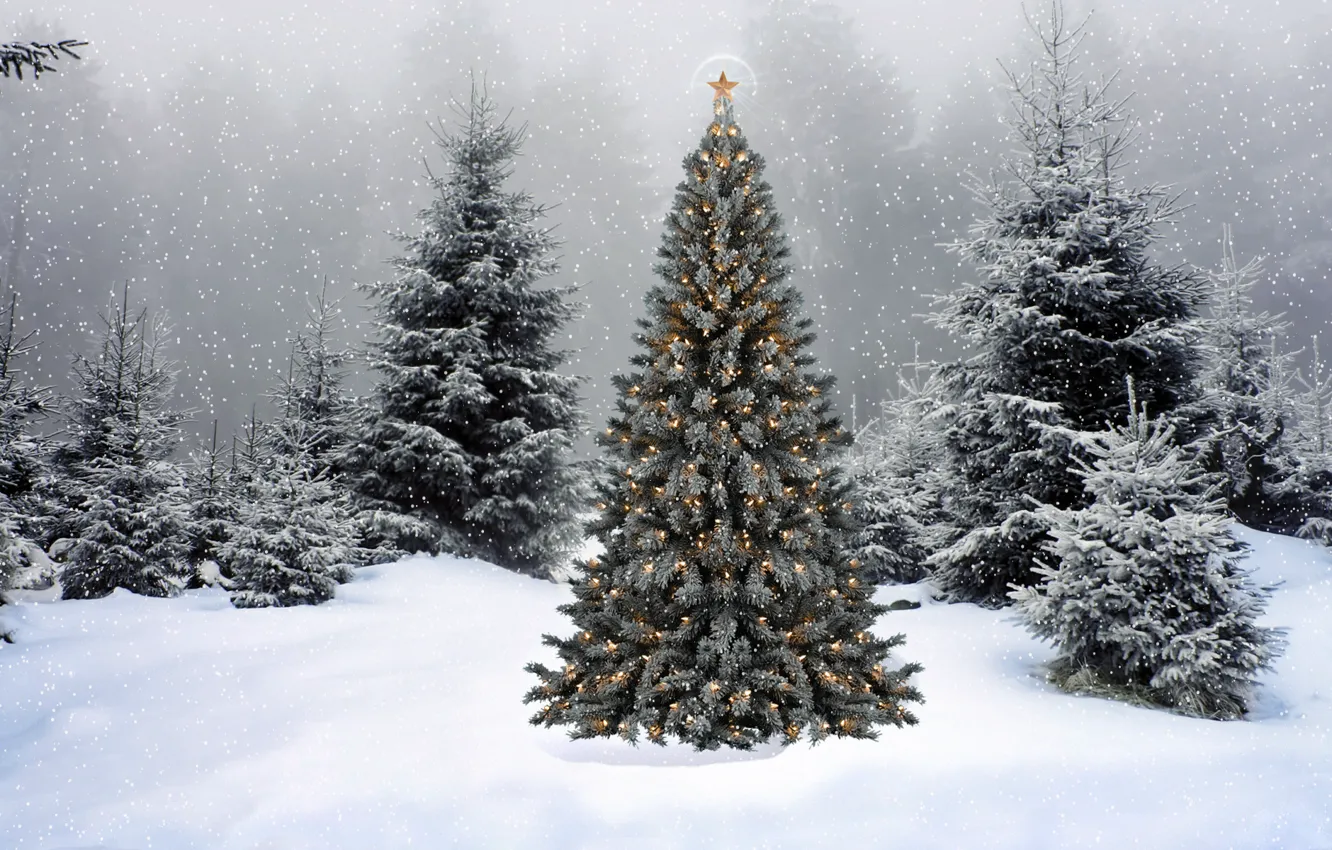 Photo wallpaper snow, new year, spruce, tree