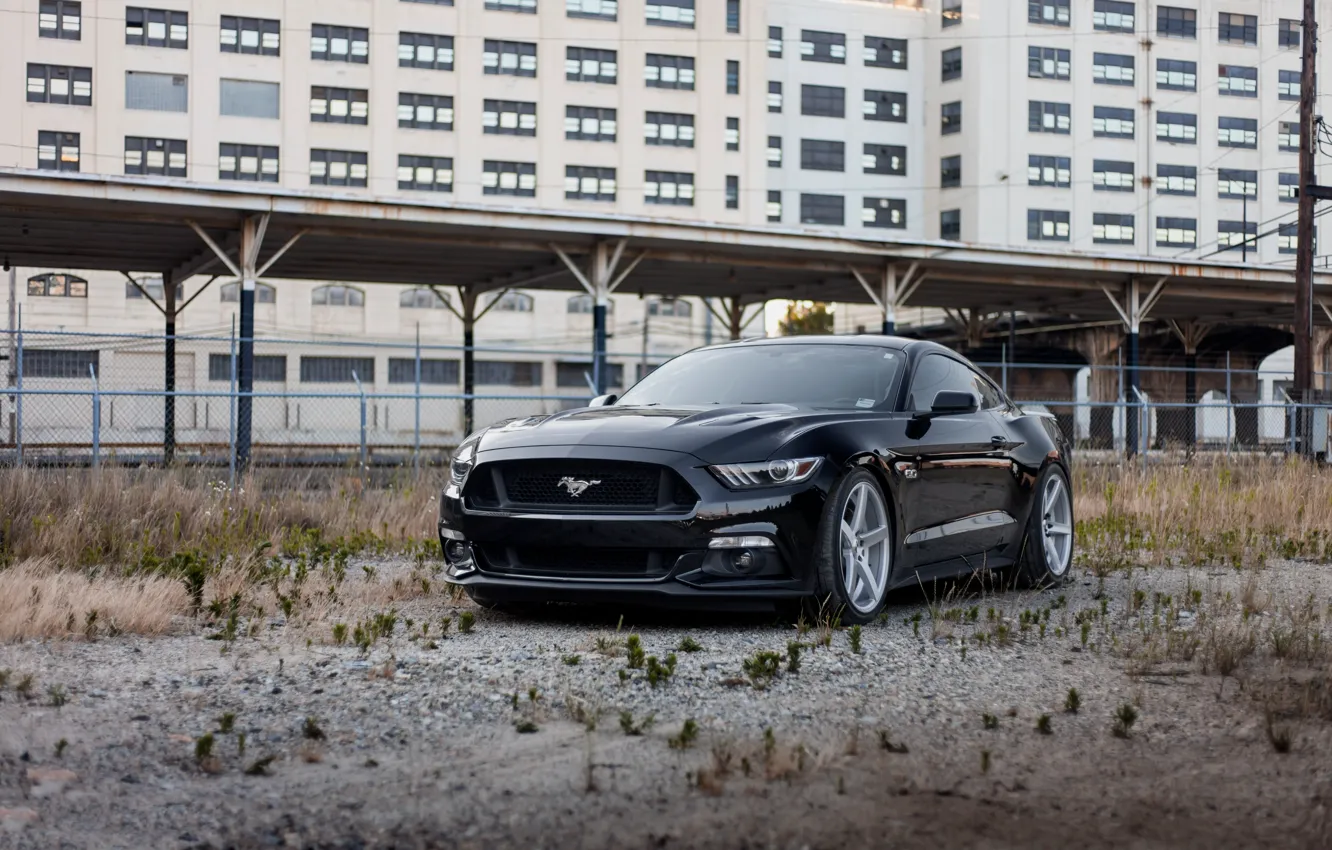Photo wallpaper Mustang, Ford, Black, 5.0, 2015