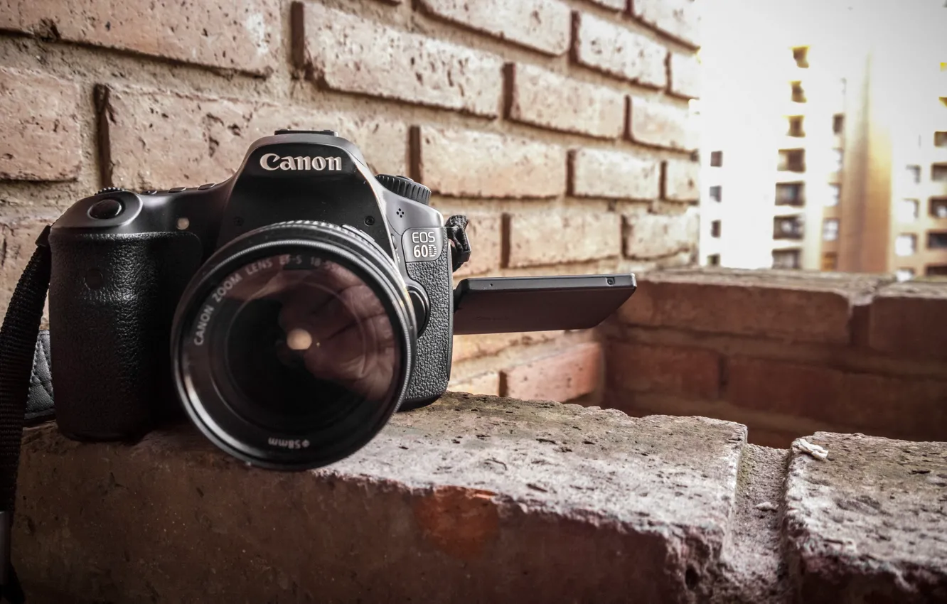 Photo wallpaper macro, camera, Canon