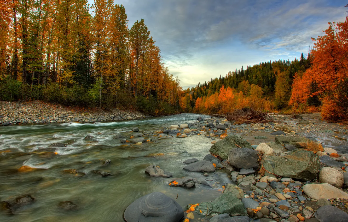 Photo wallpaper autumn, forest, river, stones, stream, Alaska