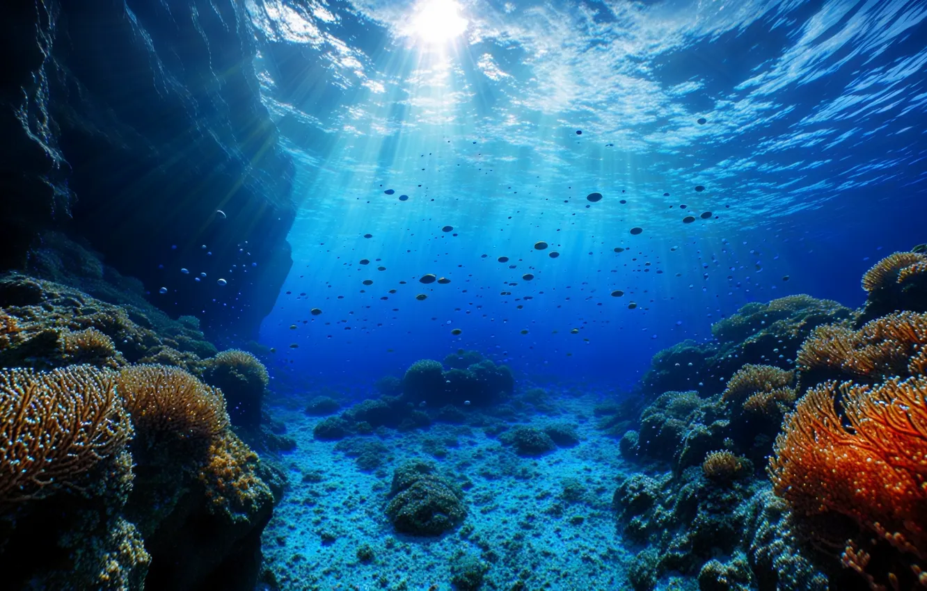 Photo wallpaper water, corals, underwater