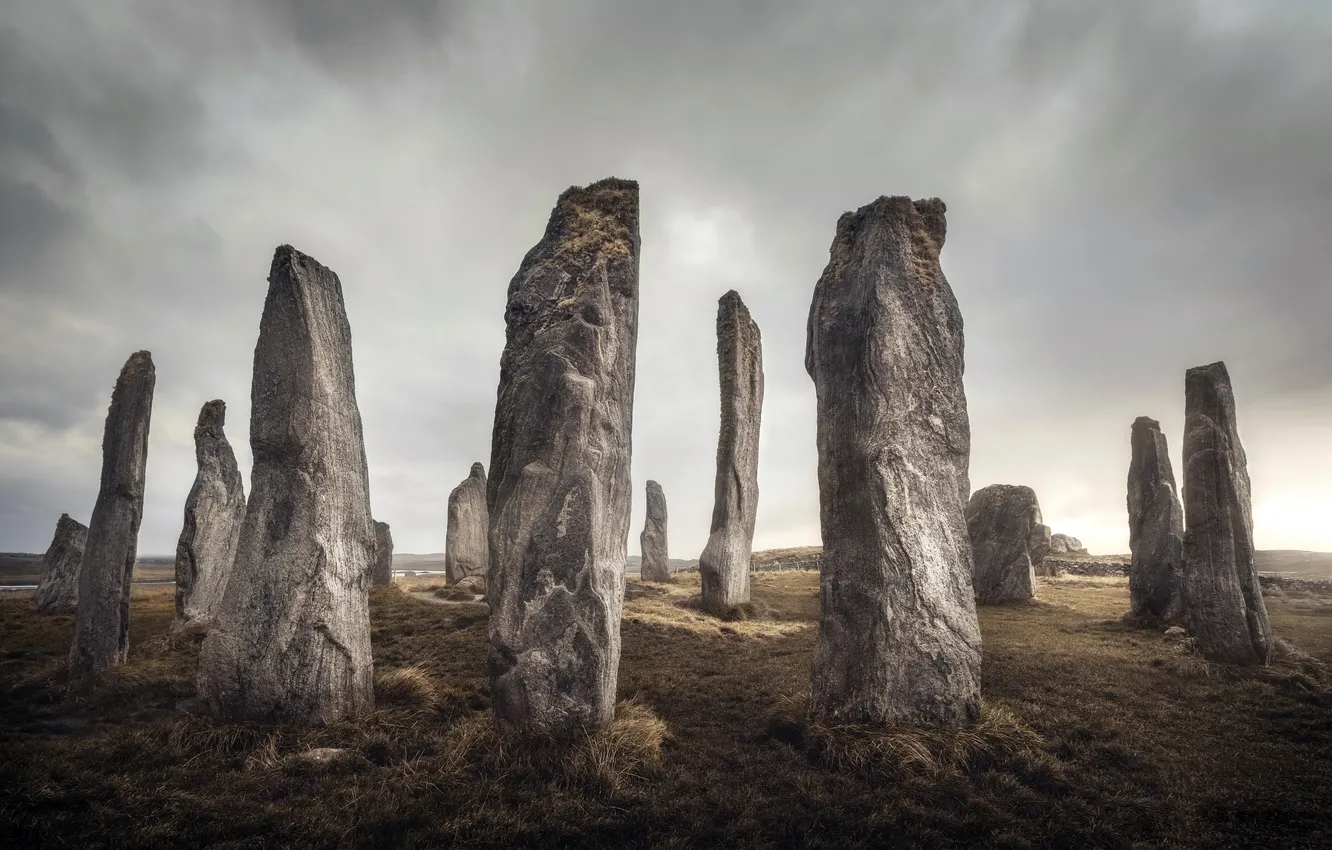 Photo wallpaper field, nature, stones