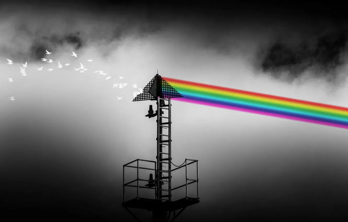 Photo wallpaper bird, range, tower