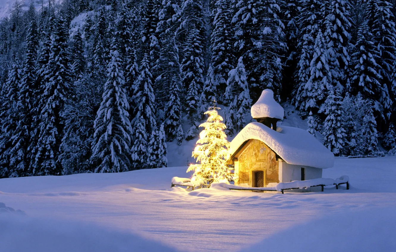 Photo wallpaper winter, forest, light, snow, lights, ate, Christmas, Church